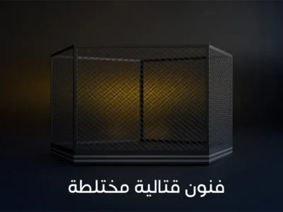 IPTV تلفزيون أونلاين ألمانيا